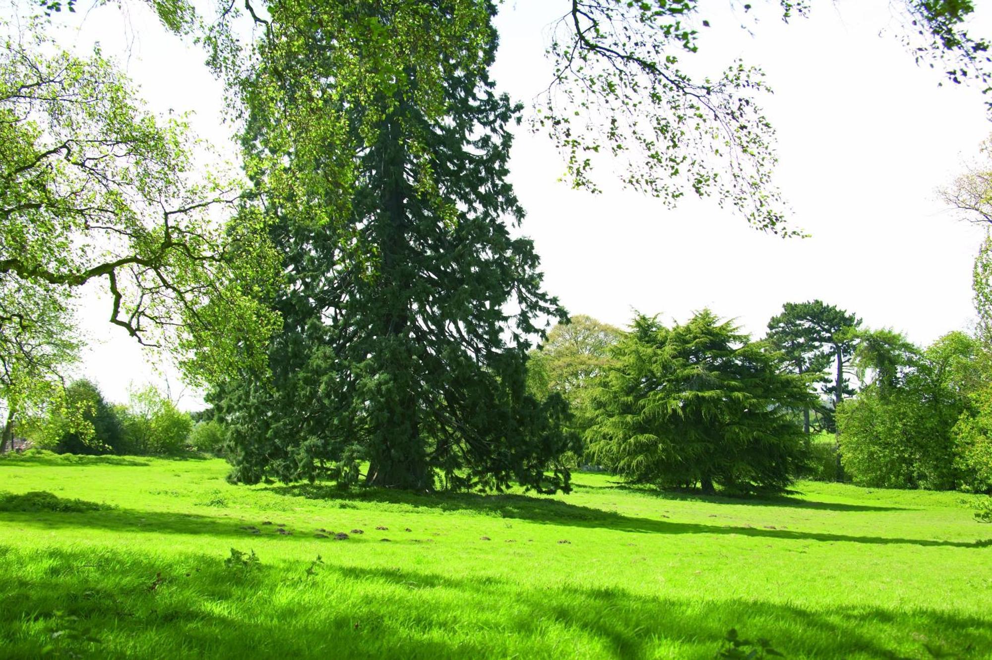 Woodland Grange Hotel Lillington  Kültér fotó